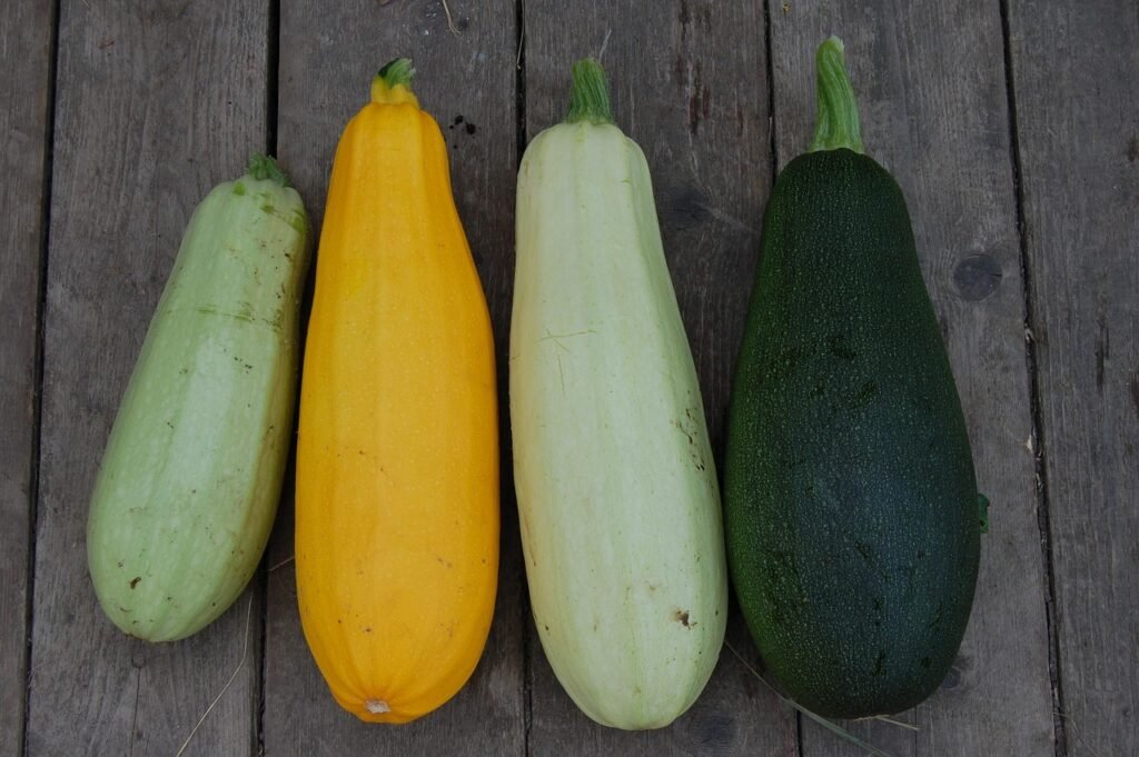 How to Grow Zucchini in a Container: A Beginner's Guide to Growing Tons of Zucchini in Pots How to Grow Zucchini in a Container