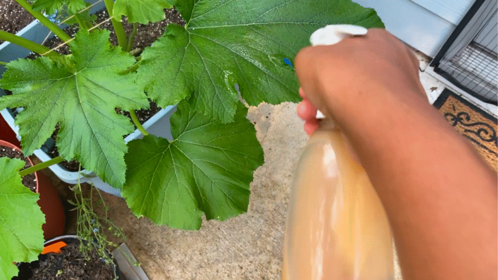 Natural pest repellant for garden