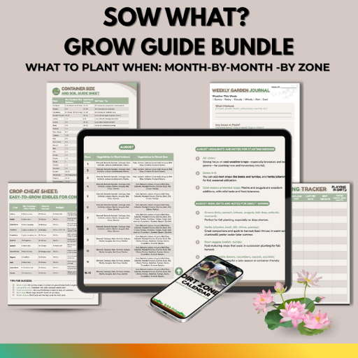 what to plant each month