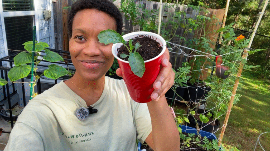 vegetables to plant in September
