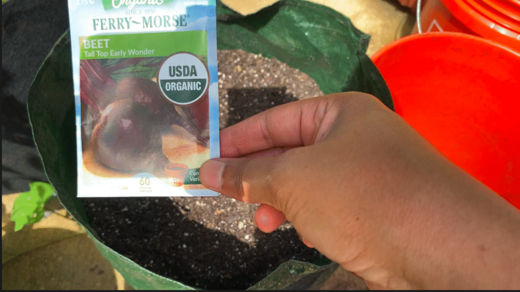 growing beets from seed