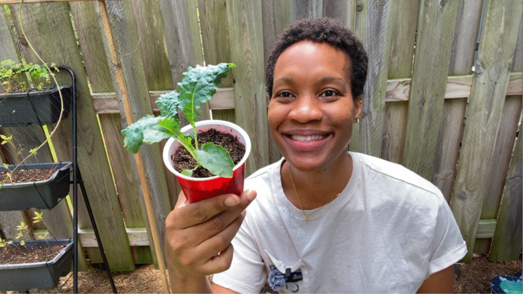 kale seedling