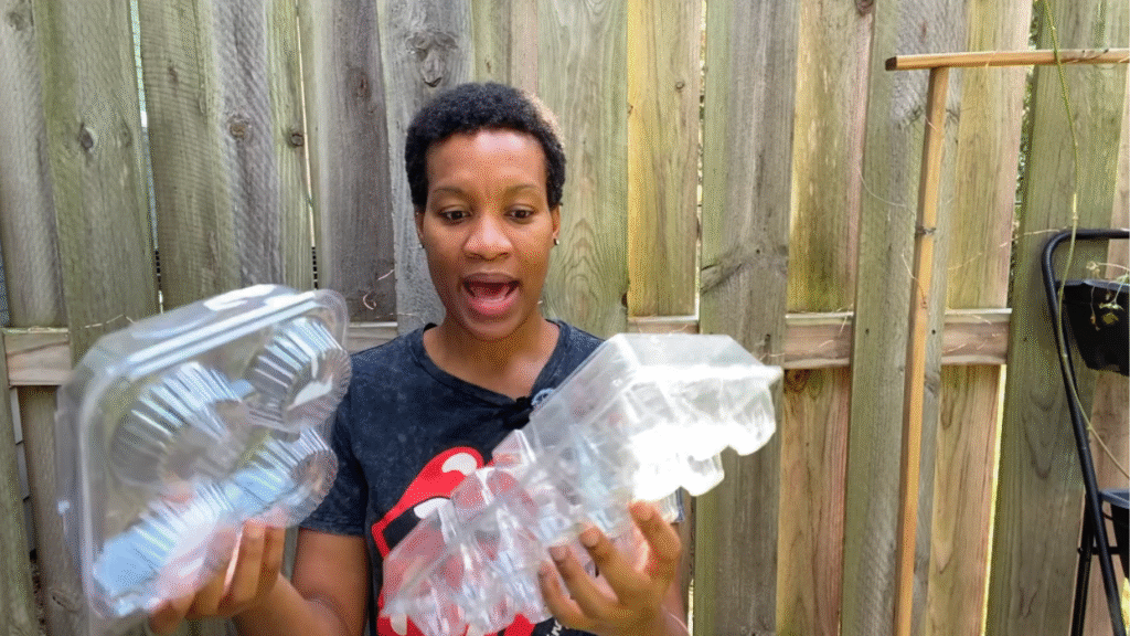 egg carton seed starter