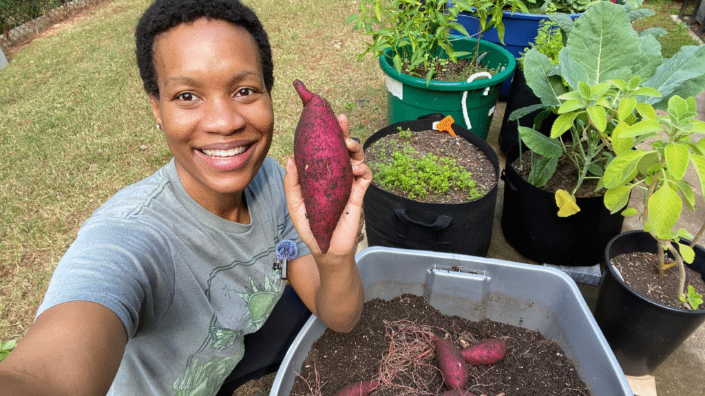 Growing Sweet Potatoes in Containers