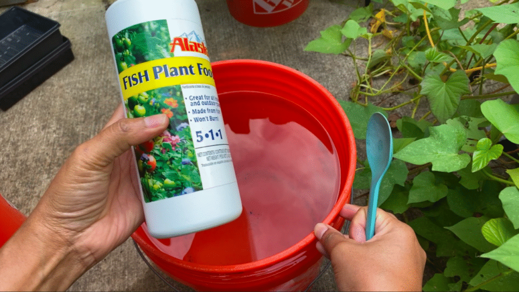 How to fertilize plants