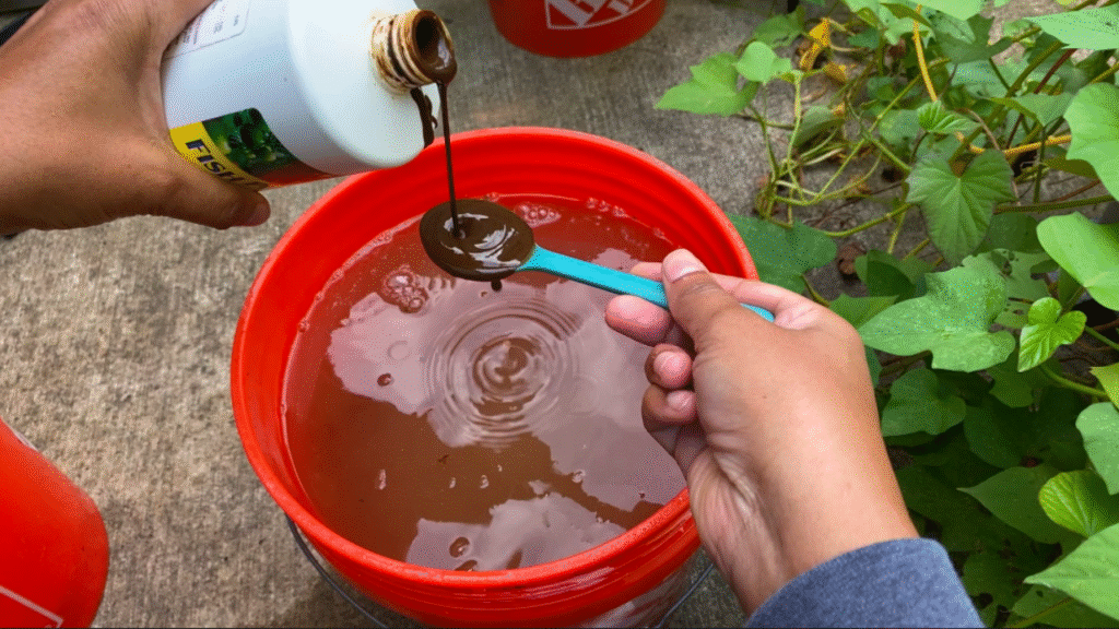 How to fertilize plants