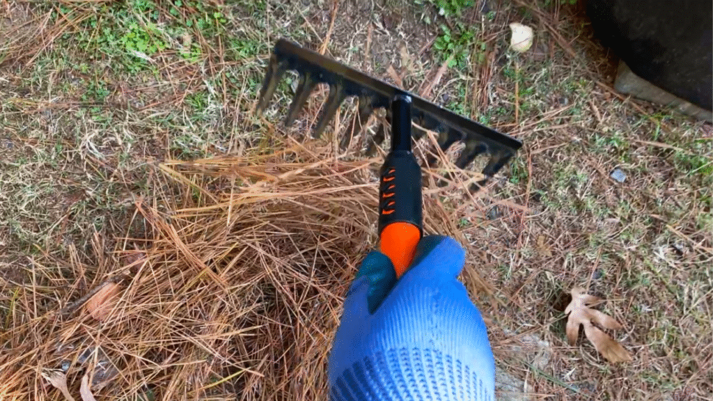 pine needle mulch