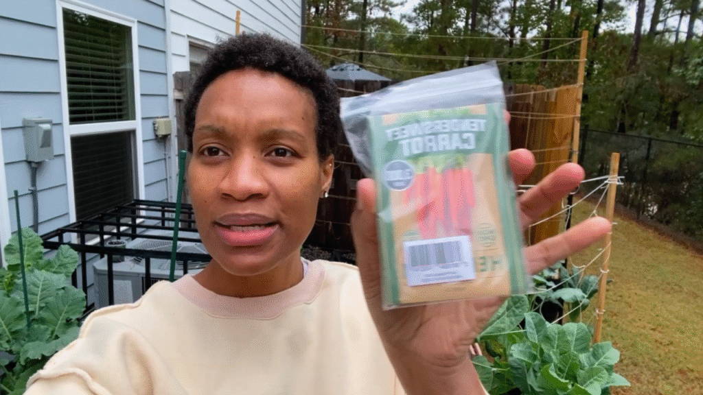 vegetables to grow in November