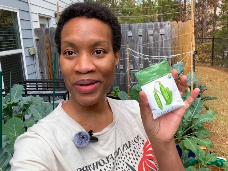 What to grow in winter